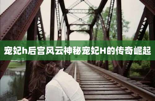 宠妃h后宫风云神秘宠妃H的传奇崛起
