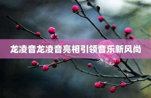 龙凌音龙凌音亮相引领音乐新风尚