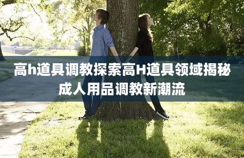 高h道具调教探索高H道具领域揭秘成人用品调教新潮流