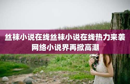 丝袜小说在线丝袜小说在线热力来袭网络小说界再掀高潮