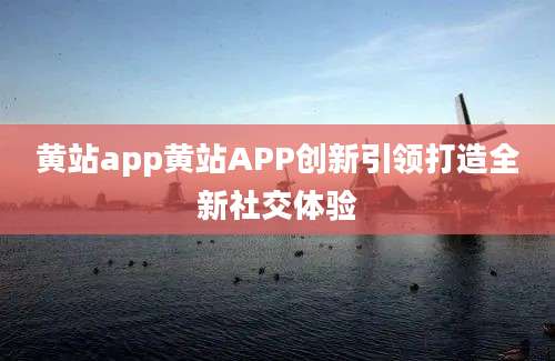 黄站app黄站APP创新引领打造全新社交体验