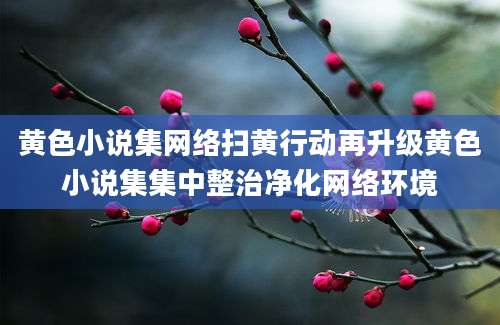 黄色小说集网络扫黄行动再升级黄色小说集集中整治净化网络环境