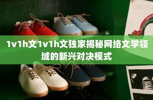 1v1h文1v1h文独家揭秘网络文学领域的新兴对决模式