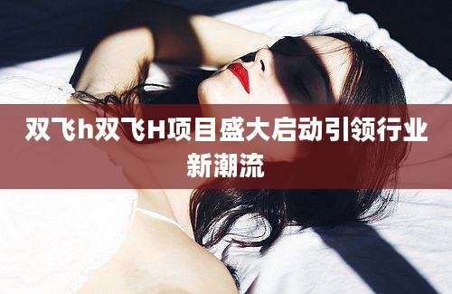 双飞h双飞H项目盛大启动引领行业新潮流