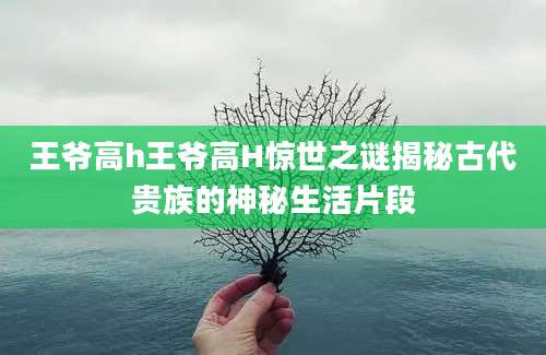王爷高h王爷高H惊世之谜揭秘古代贵族的神秘生活片段