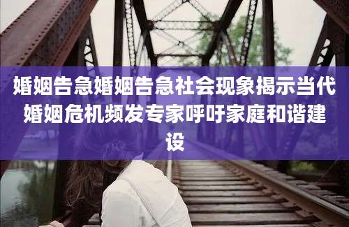 婚姻告急婚姻告急社会现象揭示当代婚姻危机频发专家呼吁家庭和谐建设