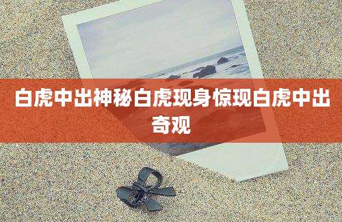 白虎中出神秘白虎现身惊现白虎中出奇观