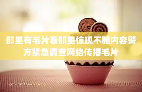 那里有毛片看那里惊现不雅内容警方紧急调查网络传播毛片