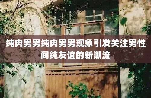 纯肉男男纯肉男男现象引发关注男性间纯友谊的新潮流