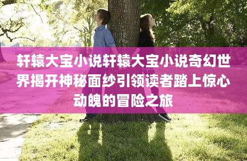 轩辕大宝小说轩辕大宝小说奇幻世界揭开神秘面纱引领读者踏上惊心动魄的冒险之旅