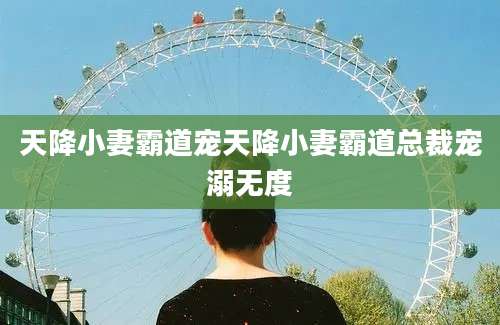 天降小妻霸道宠天降小妻霸道总裁宠溺无度