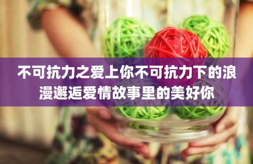 不可抗力之爱上你不可抗力下的浪漫邂逅爱情故事里的美好你