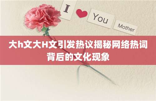 大h文大H文引发热议揭秘网络热词背后的文化现象