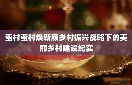 蛮村蛮村焕新颜乡村振兴战略下的美丽乡村建设纪实