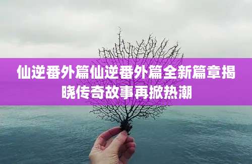 仙逆番外篇仙逆番外篇全新篇章揭晓传奇故事再掀热潮