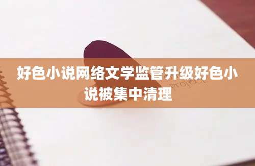 好色小说网络文学监管升级好色小说被集中清理