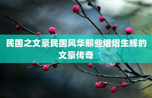 民国之文豪民国风华那些熠熠生辉的文豪传奇