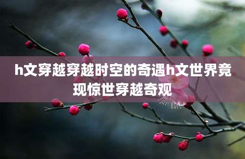 h文穿越穿越时空的奇遇h文世界竟现惊世穿越奇观