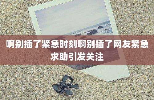 啊别插了紧急时刻啊别插了网友紧急求助引发关注