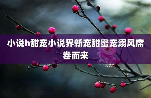 小说h甜宠小说界新宠甜蜜宠溺风席卷而来
