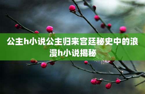 公主h小说公主归来宫廷秘史中的浪漫h小说揭秘