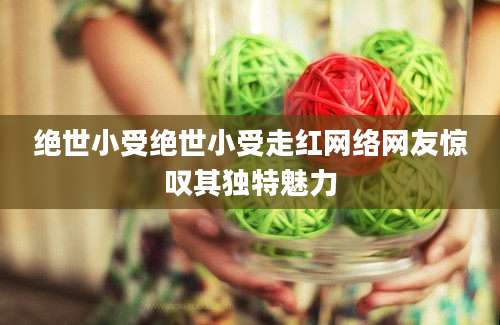 绝世小受绝世小受走红网络网友惊叹其独特魅力
