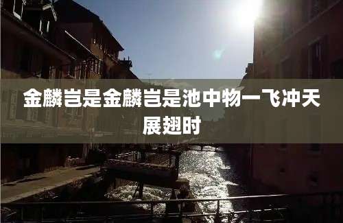 金麟岂是金麟岂是池中物一飞冲天展翅时
