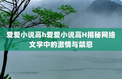 爱爱小说高h爱爱小说高H揭秘网络文学中的激情与禁忌