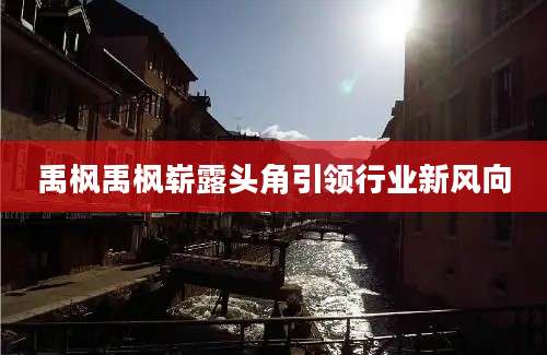 禹枫禹枫崭露头角引领行业新风向