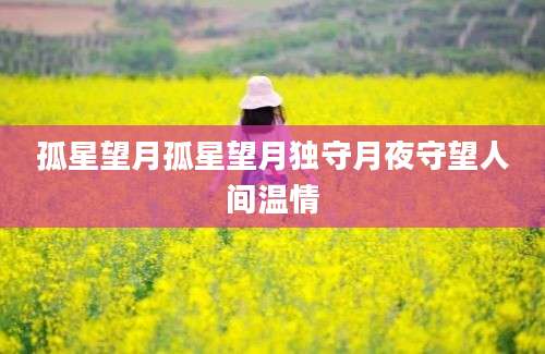 孤星望月孤星望月独守月夜守望人间温情