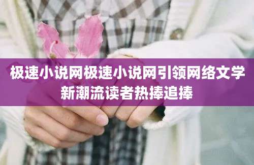 极速小说网极速小说网引领网络文学新潮流读者热捧追捧