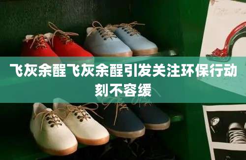 飞灰余酲飞灰余酲引发关注环保行动刻不容缓