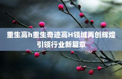 重生高h重生奇迹高H领域再创辉煌引领行业新篇章