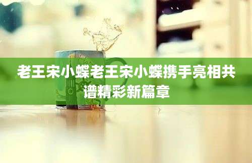 老王宋小蝶老王宋小蝶携手亮相共谱精彩新篇章