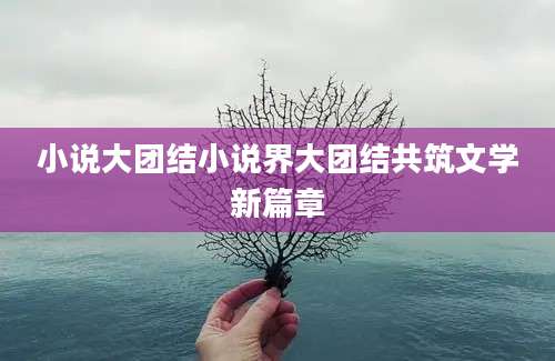 小说大团结小说界大团结共筑文学新篇章