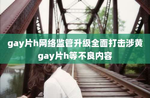 gay片h网络监管升级全面打击涉黄gay片h等不良内容
