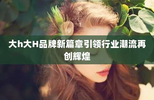 大h大H品牌新篇章引领行业潮流再创辉煌