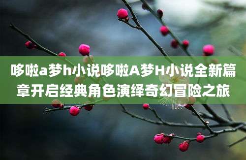 哆啦a梦h小说哆啦A梦H小说全新篇章开启经典角色演绎奇幻冒险之旅