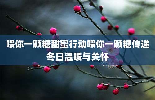 喂你一颗糖甜蜜行动喂你一颗糖传递冬日温暖与关怀