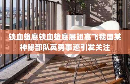 铁血雄鹰铁血雄鹰展翅高飞我国某神秘部队英勇事迹引发关注