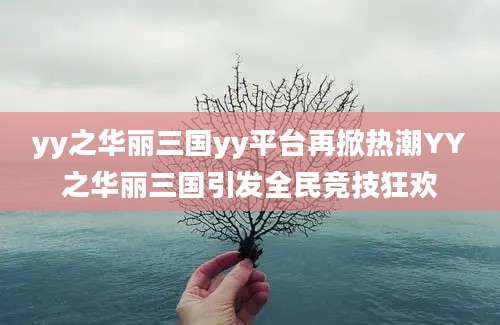 yy之华丽三国yy平台再掀热潮YY之华丽三国引发全民竞技狂欢
