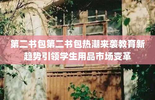 第二书包第二书包热潮来袭教育新趋势引领学生用品市场变革