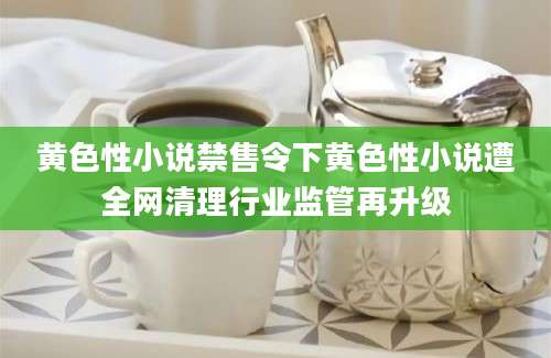 黄色性小说禁售令下黄色性小说遭全网清理行业监管再升级