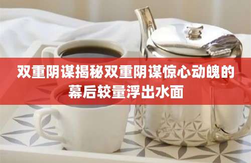 双重阴谋揭秘双重阴谋惊心动魄的幕后较量浮出水面