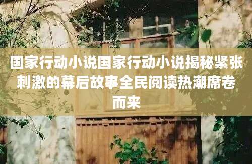 国家行动小说国家行动小说揭秘紧张刺激的幕后故事全民阅读热潮席卷而来