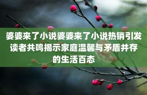 婆婆来了小说婆婆来了小说热销引发读者共鸣揭示家庭温馨与矛盾并存的生活百态
