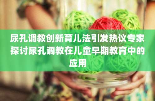 尿孔调教创新育儿法引发热议专家探讨尿孔调教在儿童早期教育中的应用