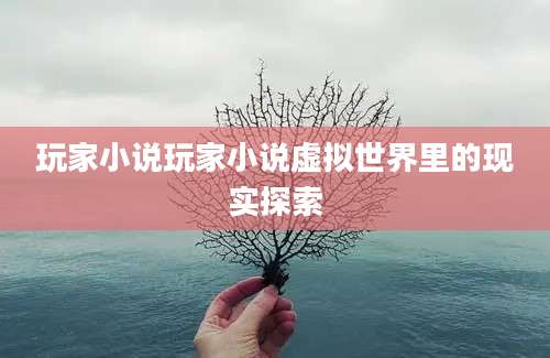玩家小说玩家小说虚拟世界里的现实探索