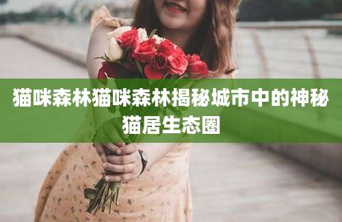 猫咪森林猫咪森林揭秘城市中的神秘猫居生态圈