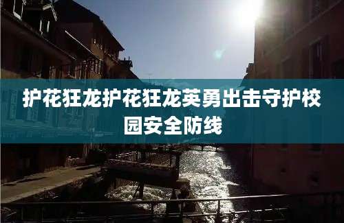 护花狂龙护花狂龙英勇出击守护校园安全防线